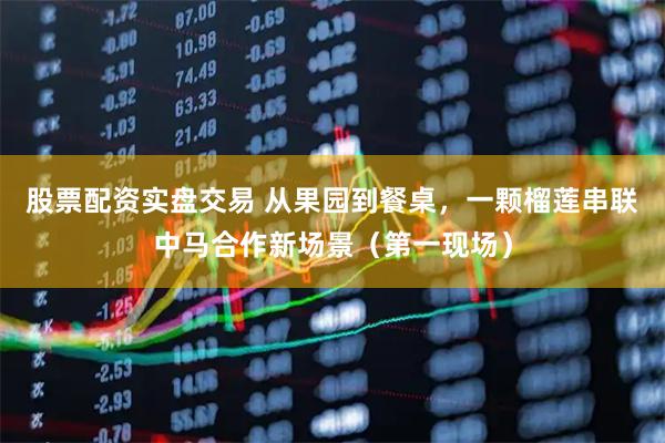 股票配资实盘交易 从果园到餐桌，一颗榴莲串联中马合作新场景（第一现场）